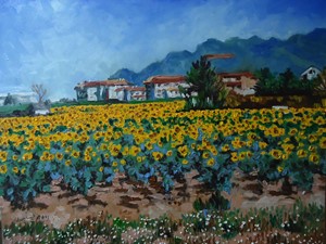 Tuscany Sunflower Fields