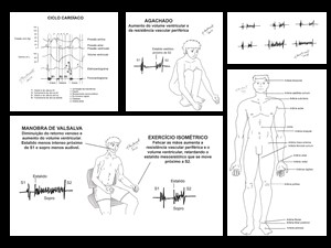 Ilustrações para capítulo de cardiovascular