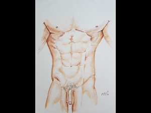 Anatomia Tronco Masculino