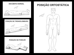 Ilustrações: posições e decúbitos