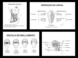 Ilustrações para capítulo de otorrinolaringologia